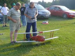 Tiger Moth